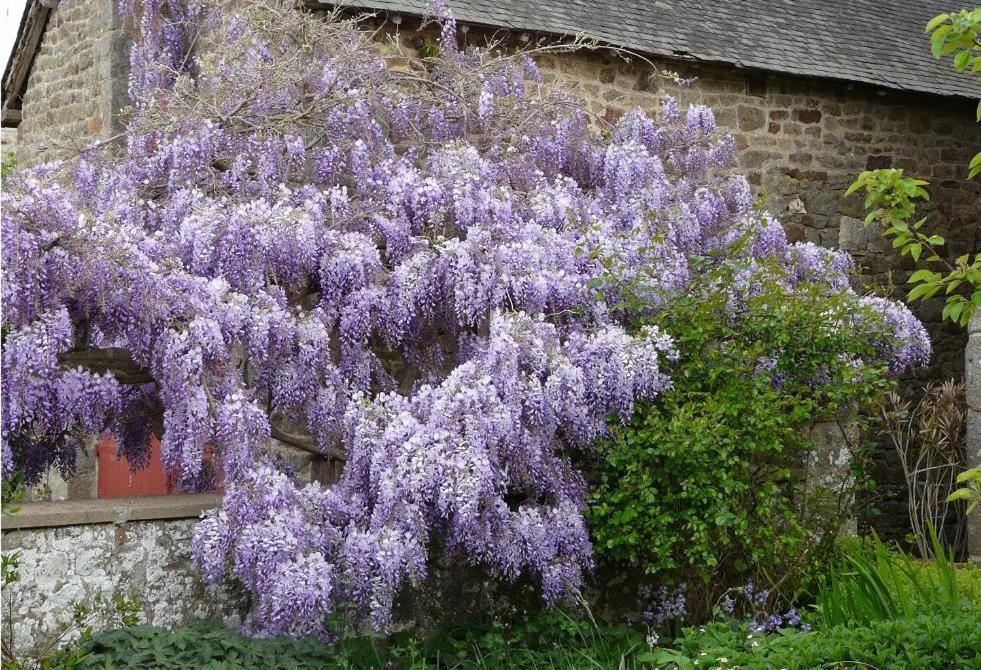 Le Clos Des Anges Dingé Buitenkant foto